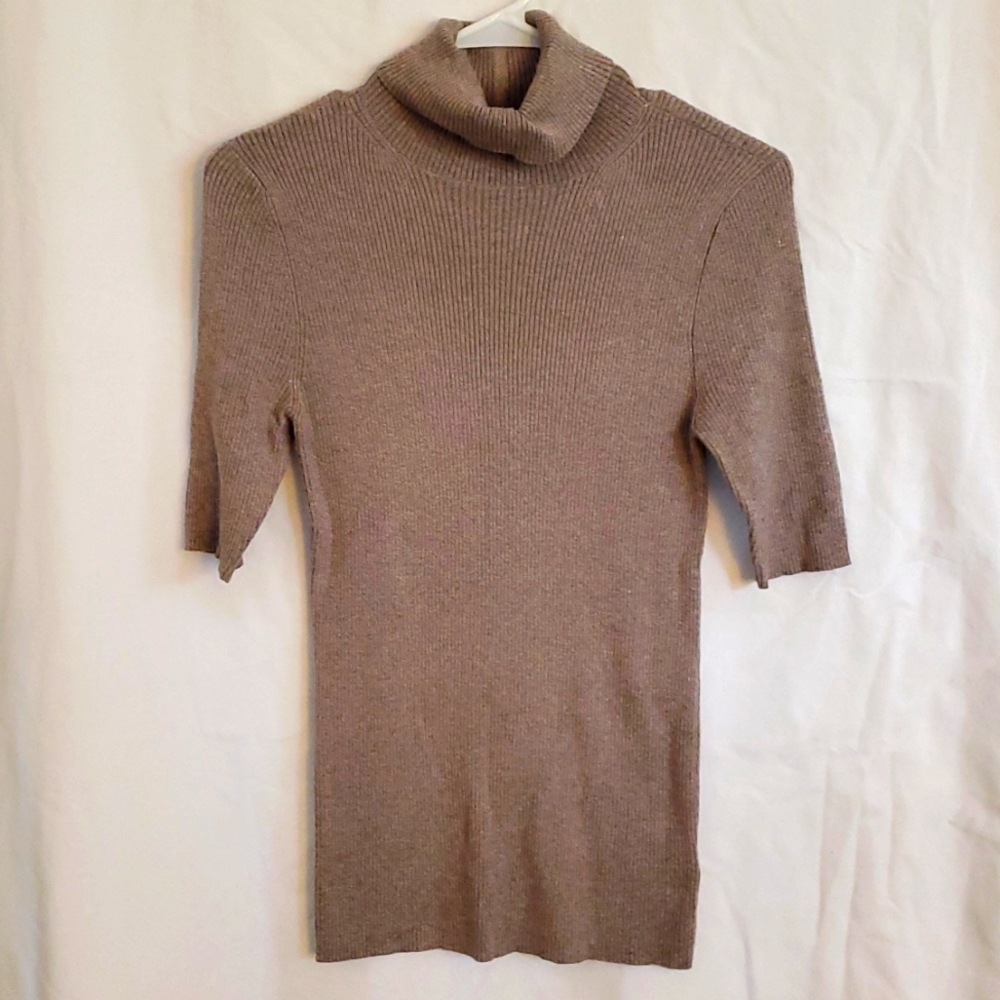 Express Turtleneck Sweater